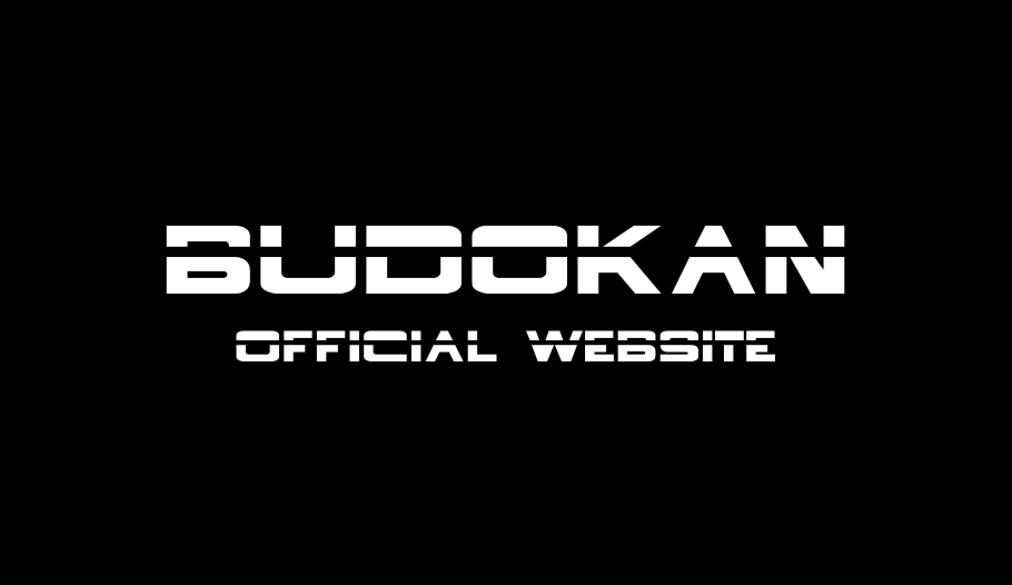 Official Website - BUDOKAN BRAUNSCHWEIG - www.budokan-bs.de - www.andreasnitschmann.com
